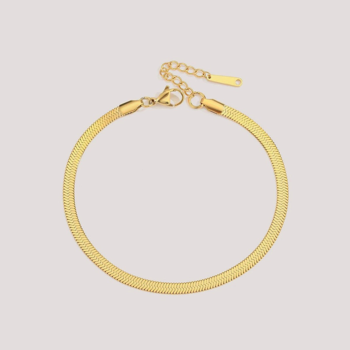 FOSSIL ANKLET
